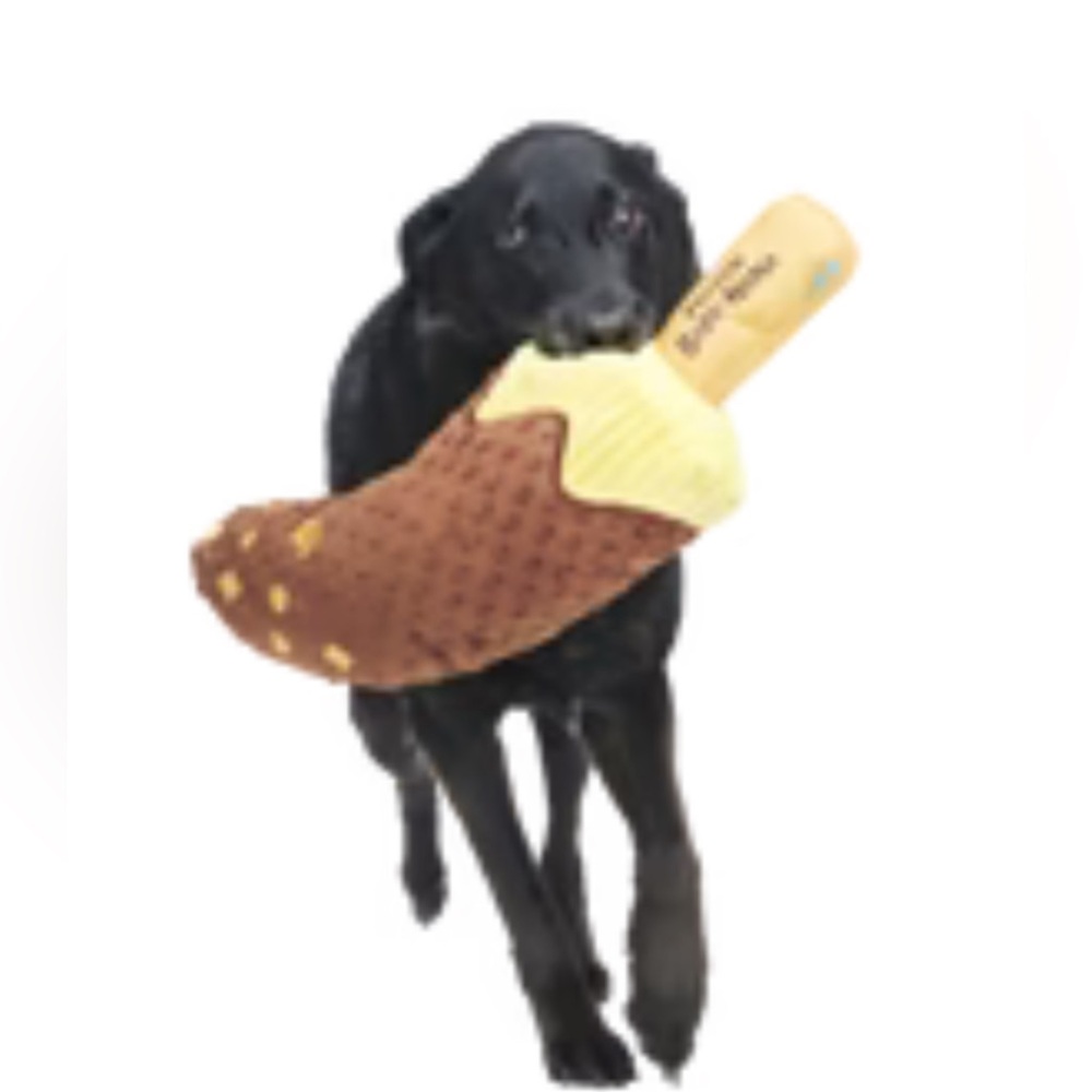 Bark box GIANT frozen bark nana dog toy